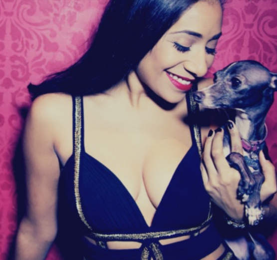 {{brizy_dc_image_alt imageSrc=